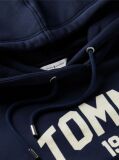 Μπλε Άνετο Fleece Hoody Με Varsity Λογότυπο  Γυναίκες