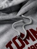 Γκρι Άνετο Fleece Hoody Με Varsity Λογότυπο  Γυναίκες