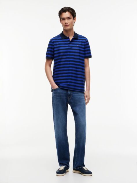 Multi Regular Fit Stripe Jersey Polo Shirt  Men