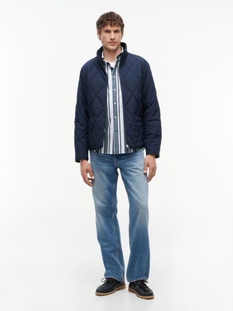 Multi Regular Fit Multicolour Stripe Poplin Shirt  Men
