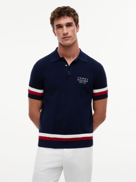 Blue Regular Fit Signature Textured Polo Shirt  Men