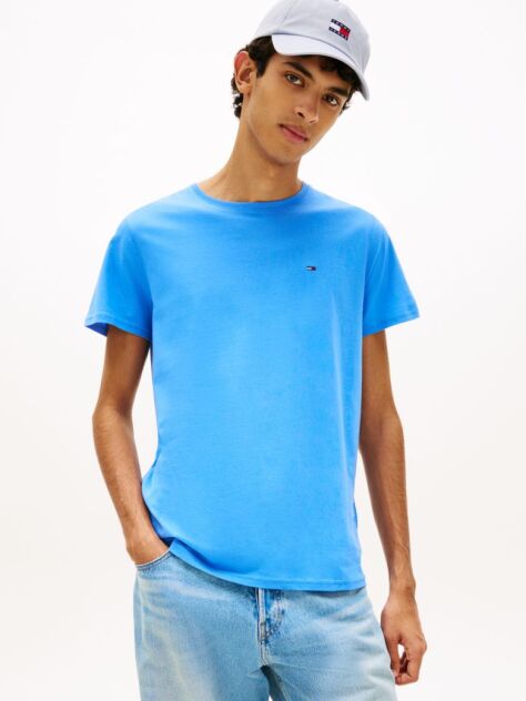 Blue Regular Fit Crew T-Shirt  Men