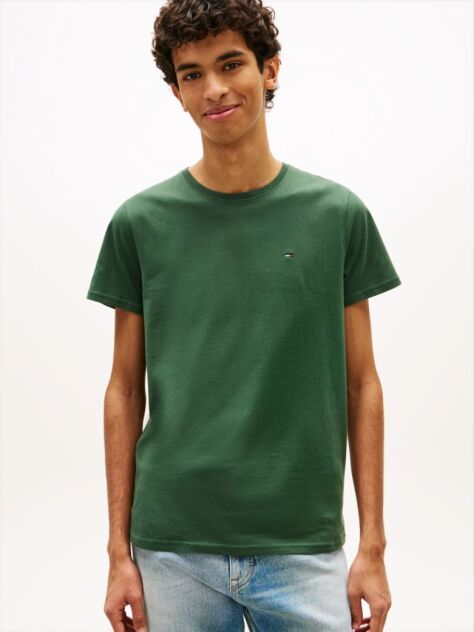 Green Regular Fit Crew T-Shirt  Men