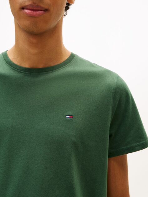 Green Regular Fit Crew T-Shirt  Men