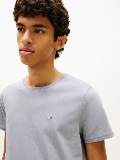 Grey Regular Fit Crew T-Shirt  Men