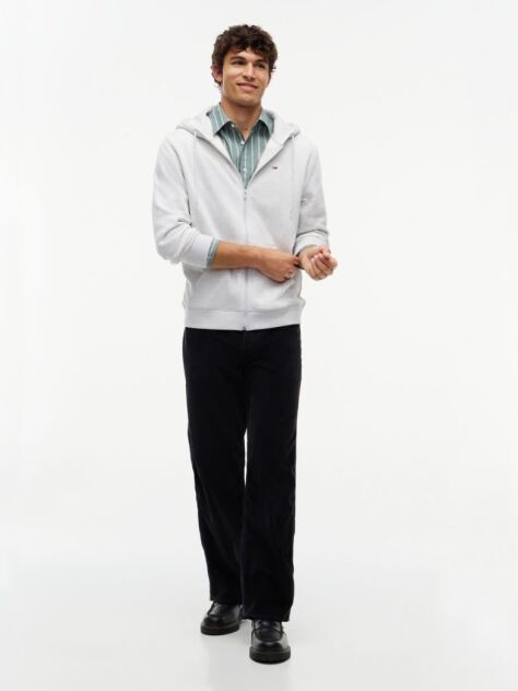 Grey Regular Hoody Zip Thru  Men