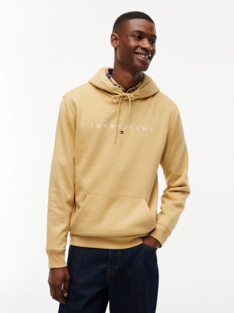 Beige Regular Logo Hoody  Men