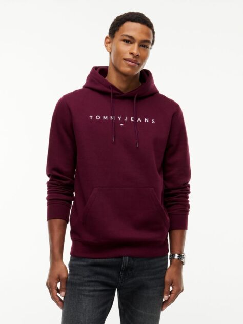Purple Regular Logo Hoody  Men