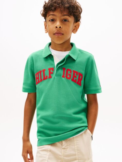 Green Regular Fit Textured Polo Shirt  Boys