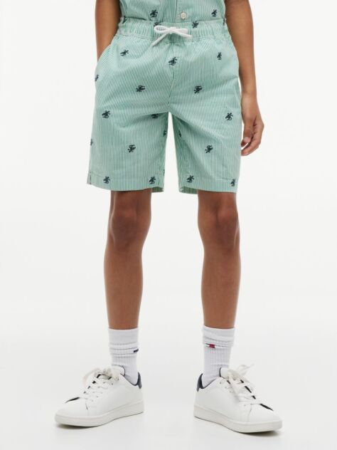 Green Ithaca Stripe Logo Embroidery Relaxed Shorts  Boys