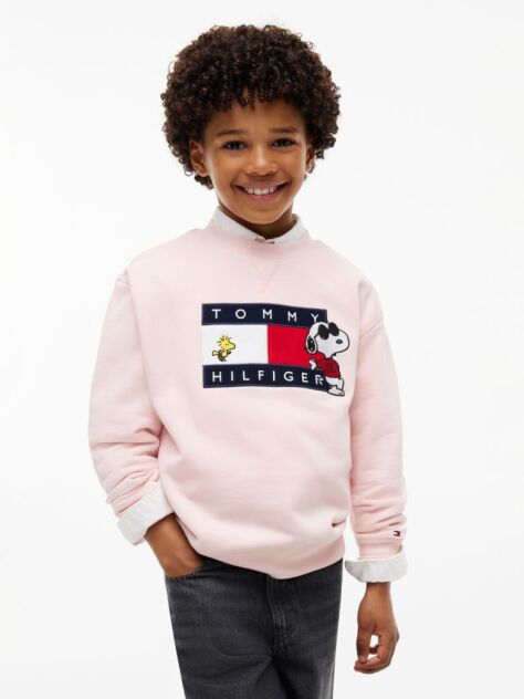 Pink Peanuts® Flag Graphic Embroidery Jumper  Kids Unisex