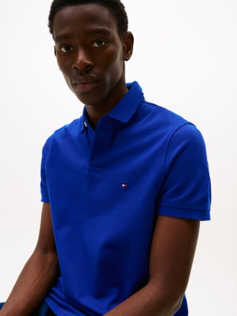 Blue 1985 Organic Cotton Regular Fit Polo  Men