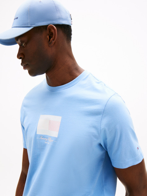 Μπλε Ριγέ T-Shirt Με Σημαία  Άνδρες