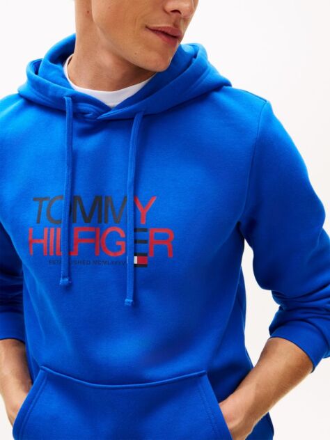 Blue Logo Graphic Hoody  Men