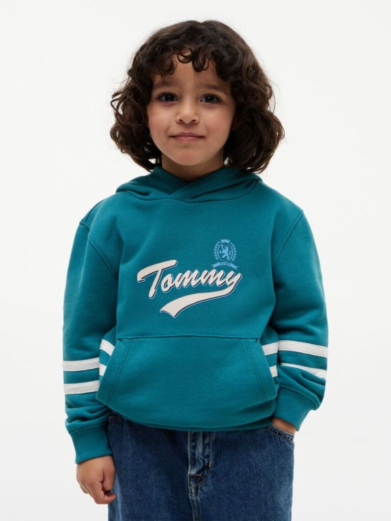 Blue Crest Logo Hoody  Boys