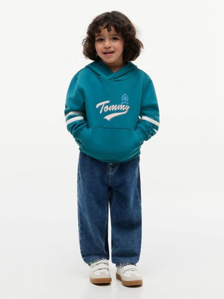 Blue Crest Logo Hoody  Boys