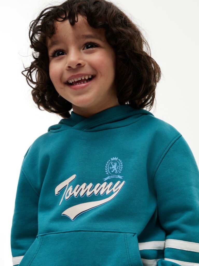 Blue Crest Logo Hoody  Boys