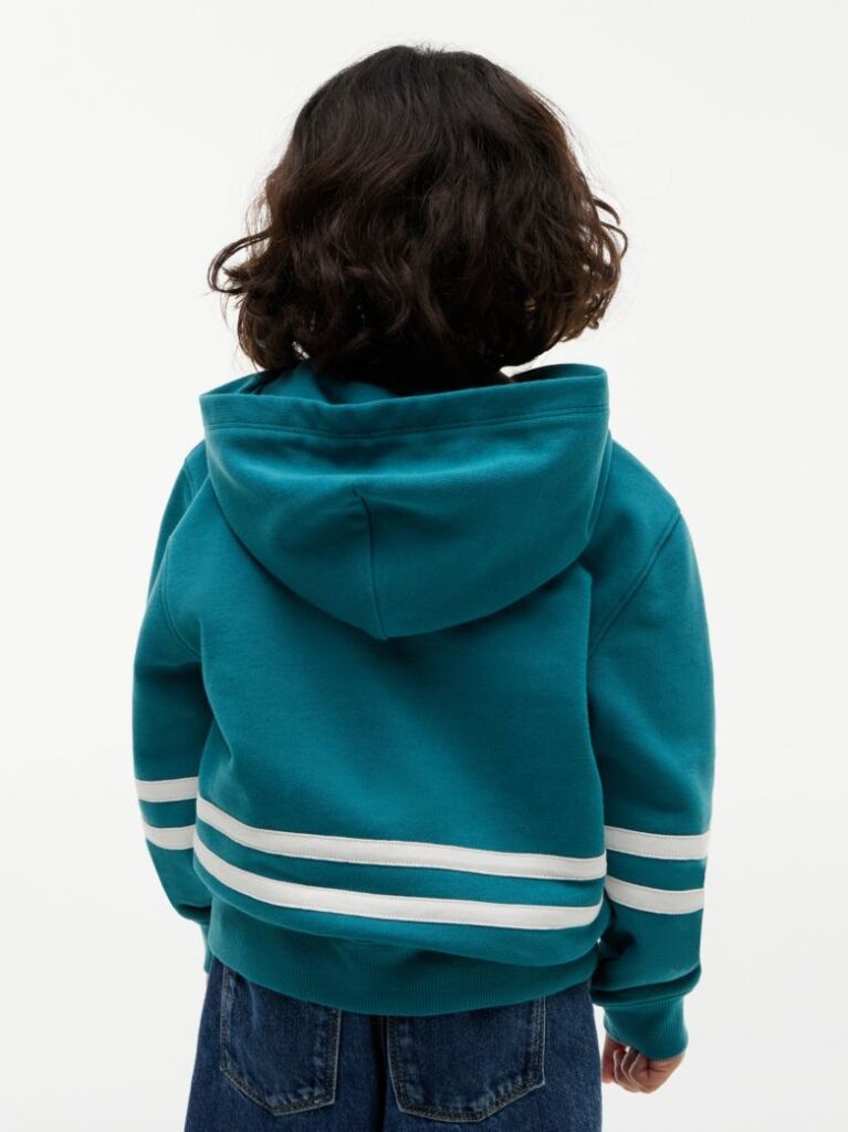 Blue Crest Logo Hoody  Boys