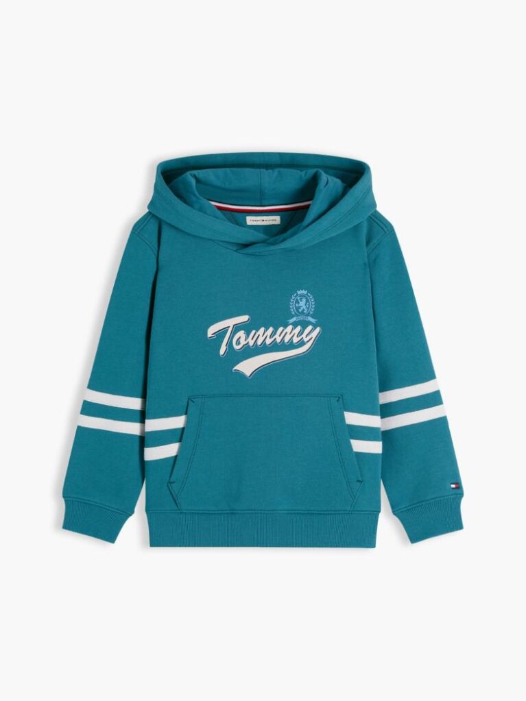 Blue Crest Logo Hoody  Boys