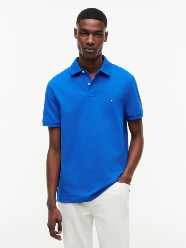 Blue 1985 Organic Cotton Regular Fit Polo  Men