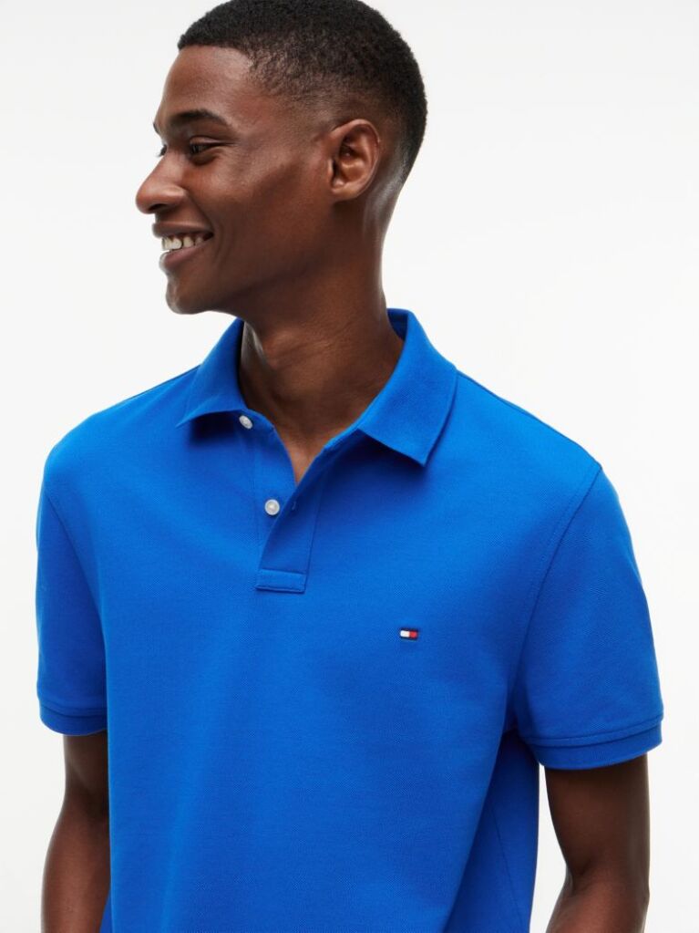 Blue 1985 Organic Cotton Regular Fit Polo  Men