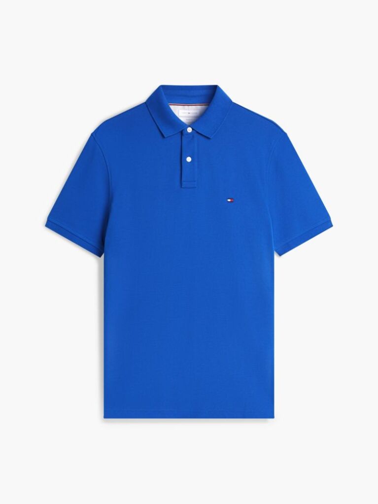 Blue 1985 Organic Cotton Regular Fit Polo  Men