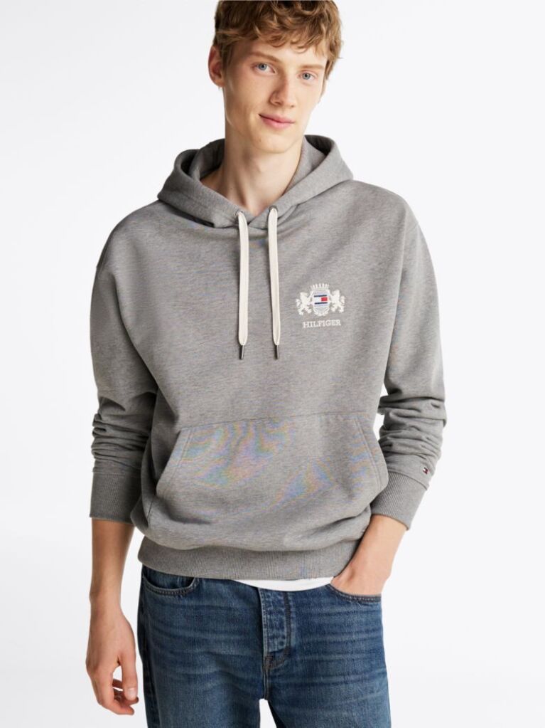 Γκρι Hoody Με Κεντητό Λογότυπο  Άνδρες