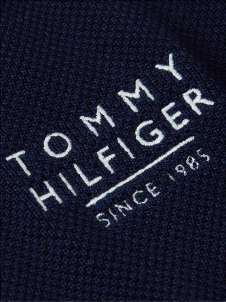 Blue Regular Fit Signature Textured Polo Shirt  Men
