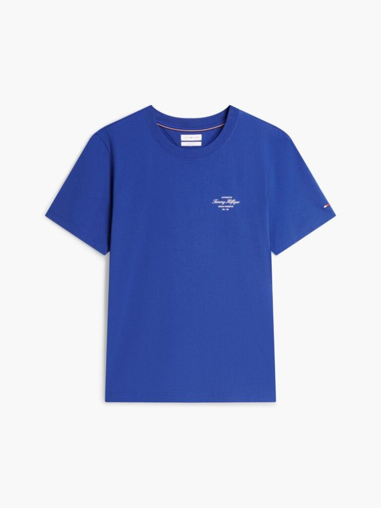 Blue Back Logo Jersey T-Shirt  Men