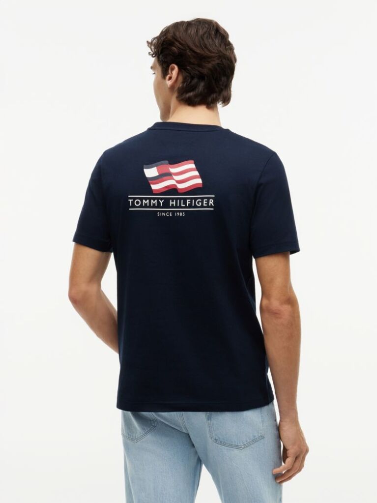 Blue Wavy Flag Back Graphic Jersey T-Shirt  Men