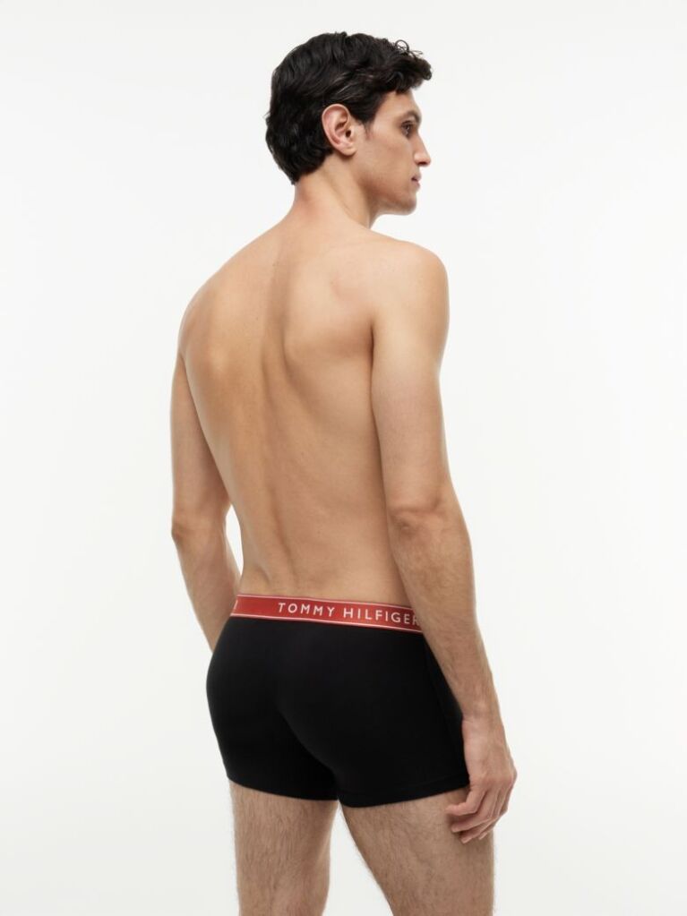 Multi 3-Pack Essential Logo Waistband Trunks  Men