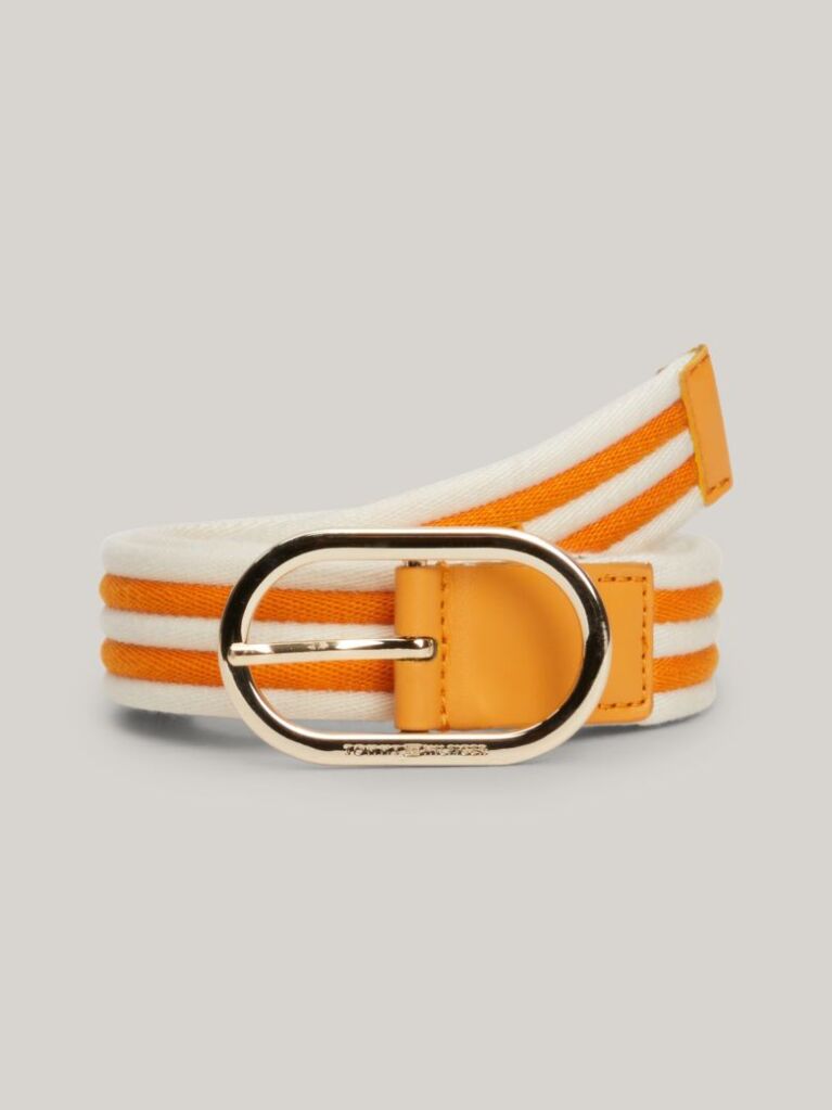 Multi Chic Stripe Webbing Belt  Women