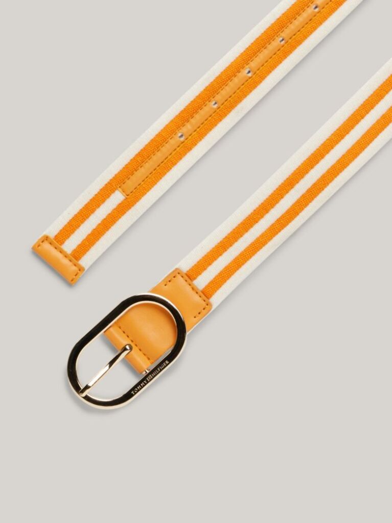 Multi Chic Stripe Webbing Belt  Women