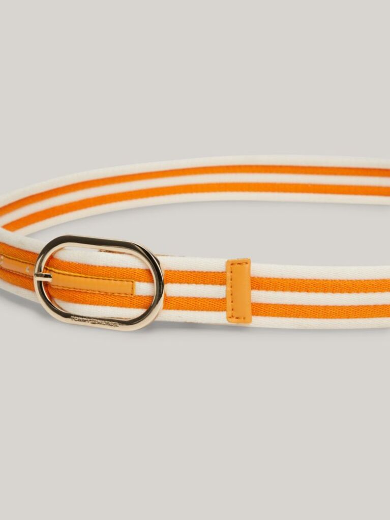Multi Chic Stripe Webbing Belt  Women