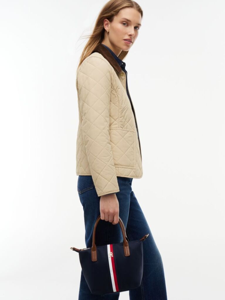 Blue Popette Global Stripe Crossbody Tote Bag  Women
