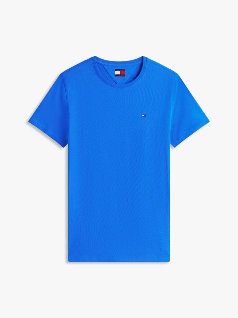 Blue Regular Fit Crew T-Shirt  Men