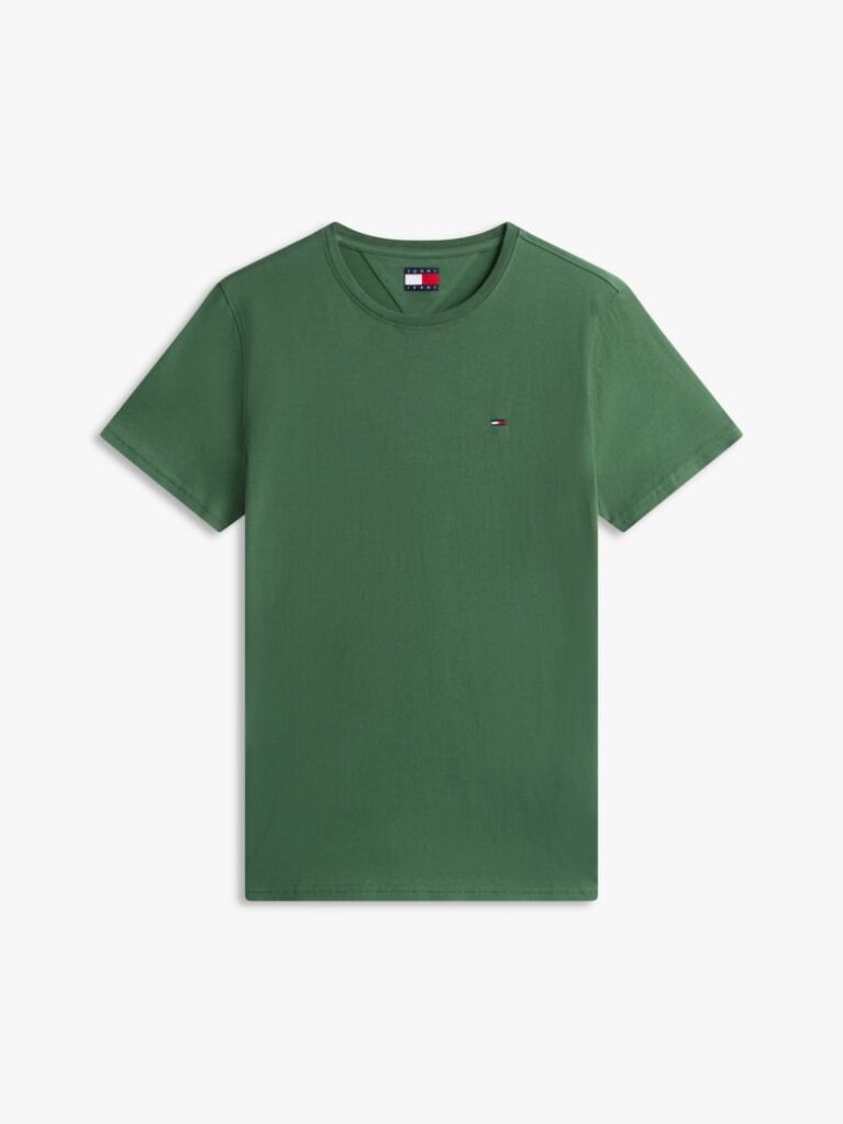 Green Regular Fit Crew T-Shirt  Men