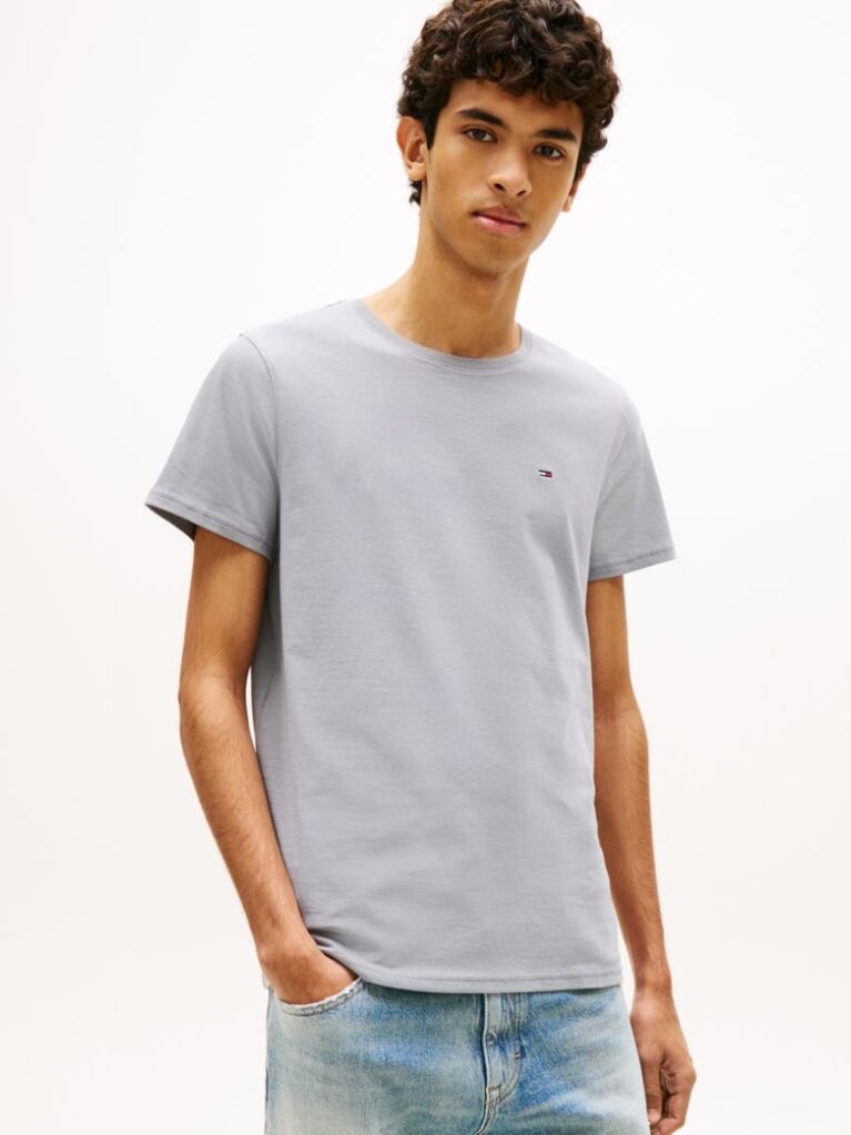 Grey Regular Fit Crew T-Shirt  Men
