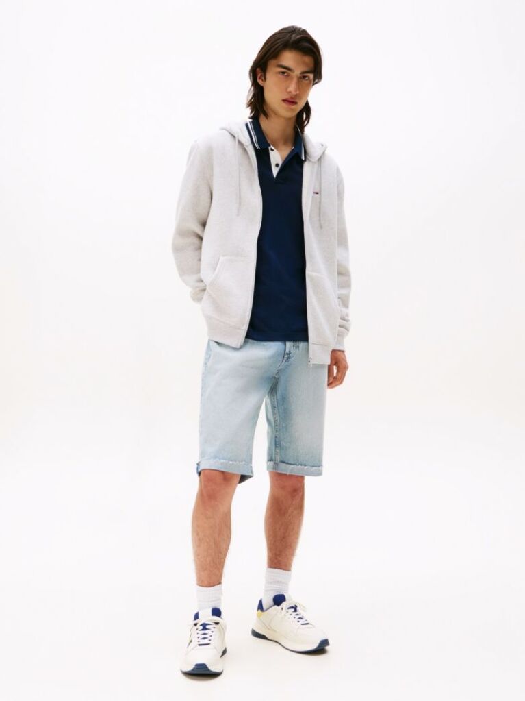 Grey Regular Hoody Zip Thru  Men