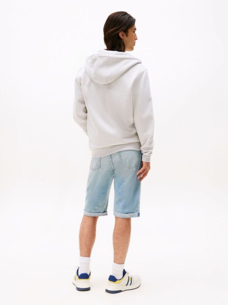 Grey Regular Hoody Zip Thru  Men