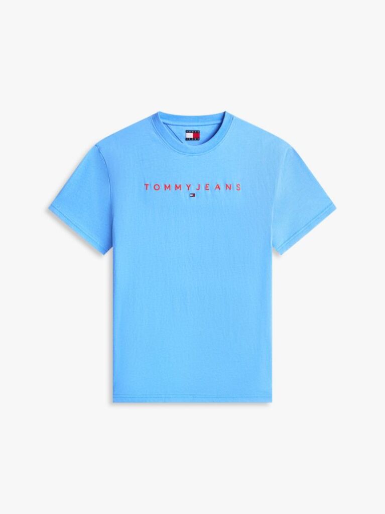 Blue Regular Logo Embroidery T-Shirt  Men