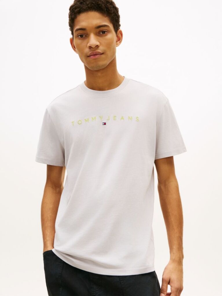 Grey Regular Logo Embroidery T-Shirt  Men