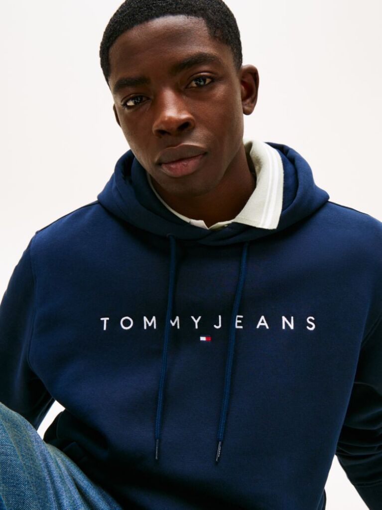 Blue Regular Logo Hoody  Men