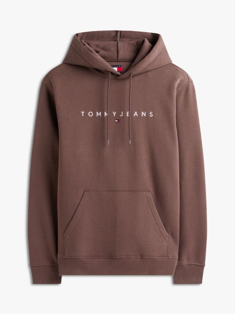 Brown Regular Logo Hoody  Men