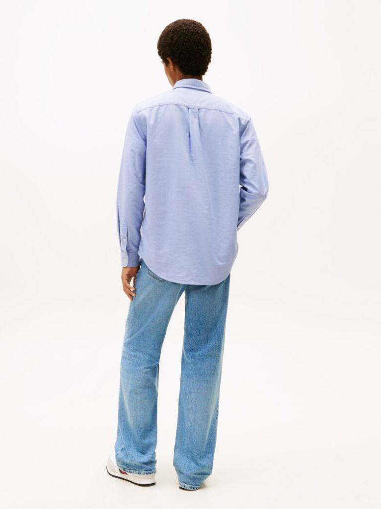 Purple Regular Fit Button-Down Collar Oxford Shirt  Men