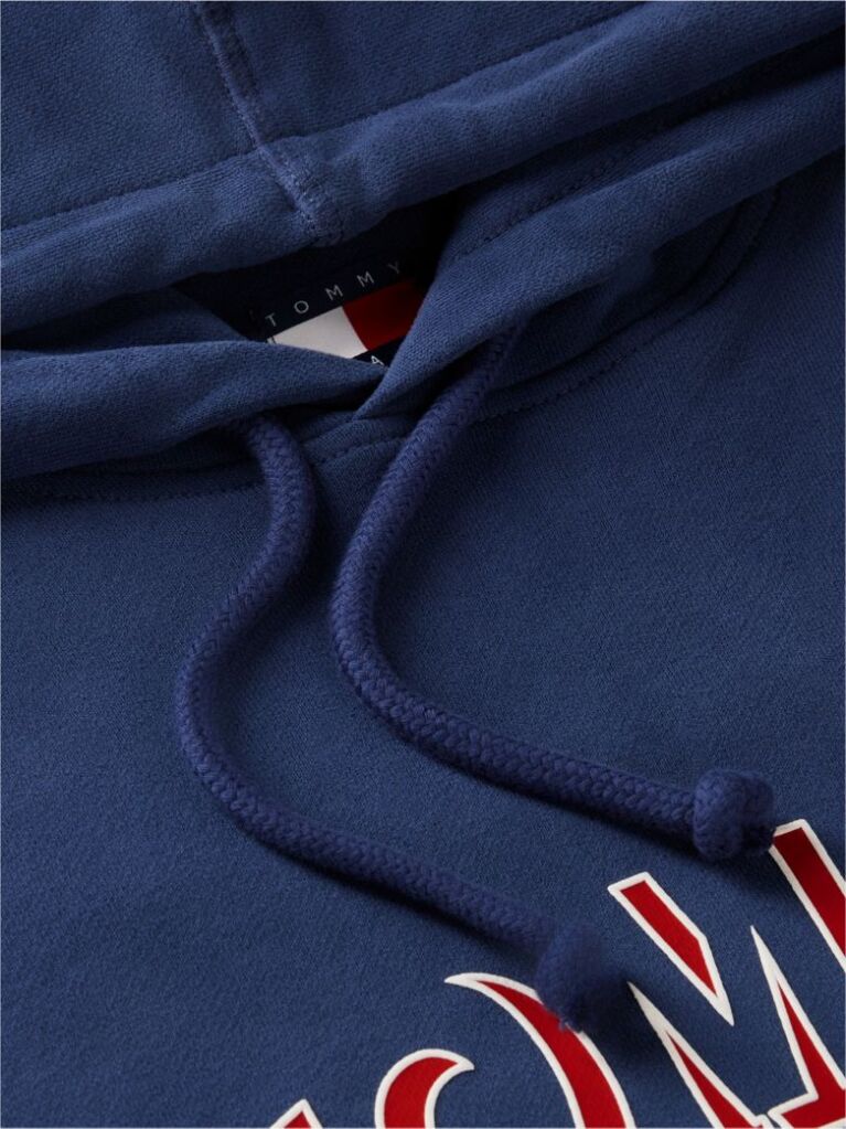 Μπλε Άνετο Σουέτ Hoody Με Λογότυπο  Άνδρες