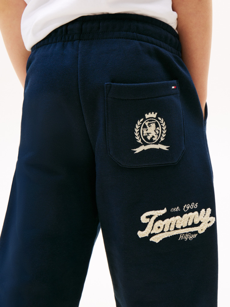 Blue Varsity Embroidery Regular Joggers  Boys