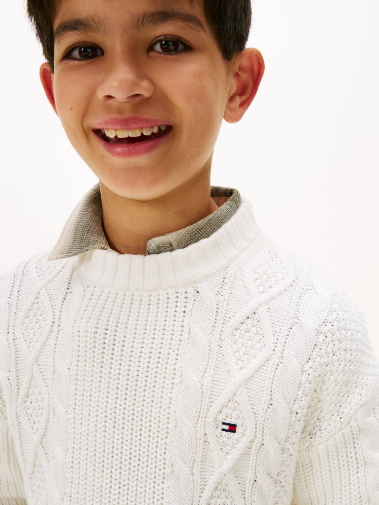 Beige Mixed Knit Intarsia Back Logo Jumper  Boys