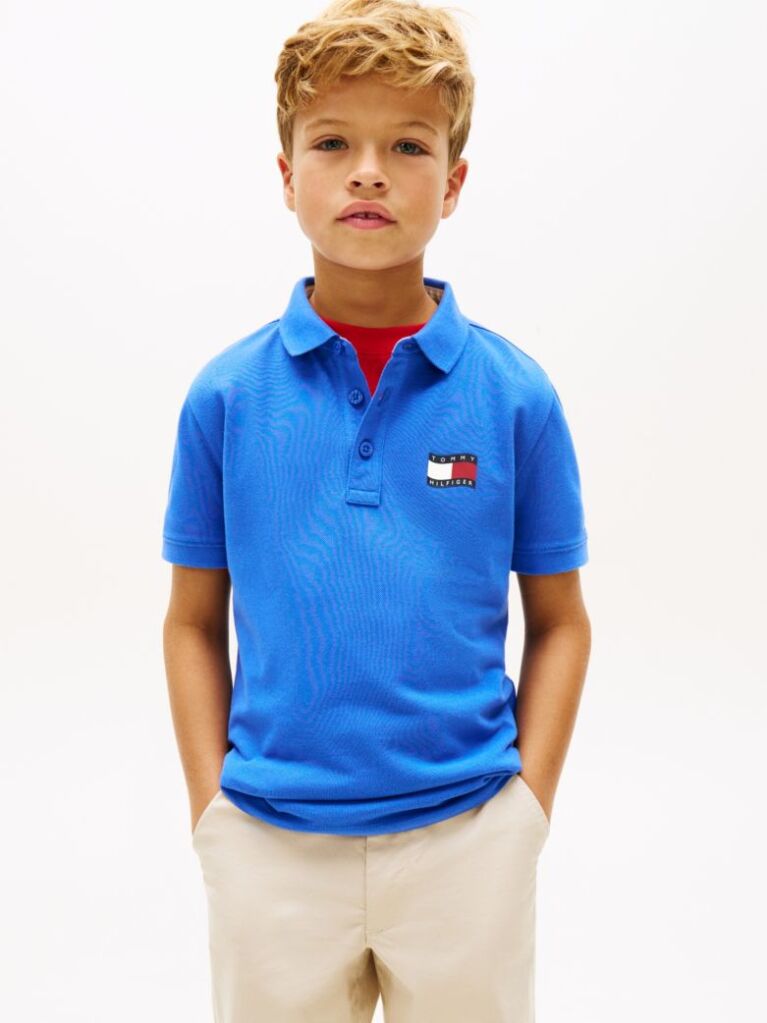 Blue Regular Fit Wavy Flag Polo Shirt  Boys