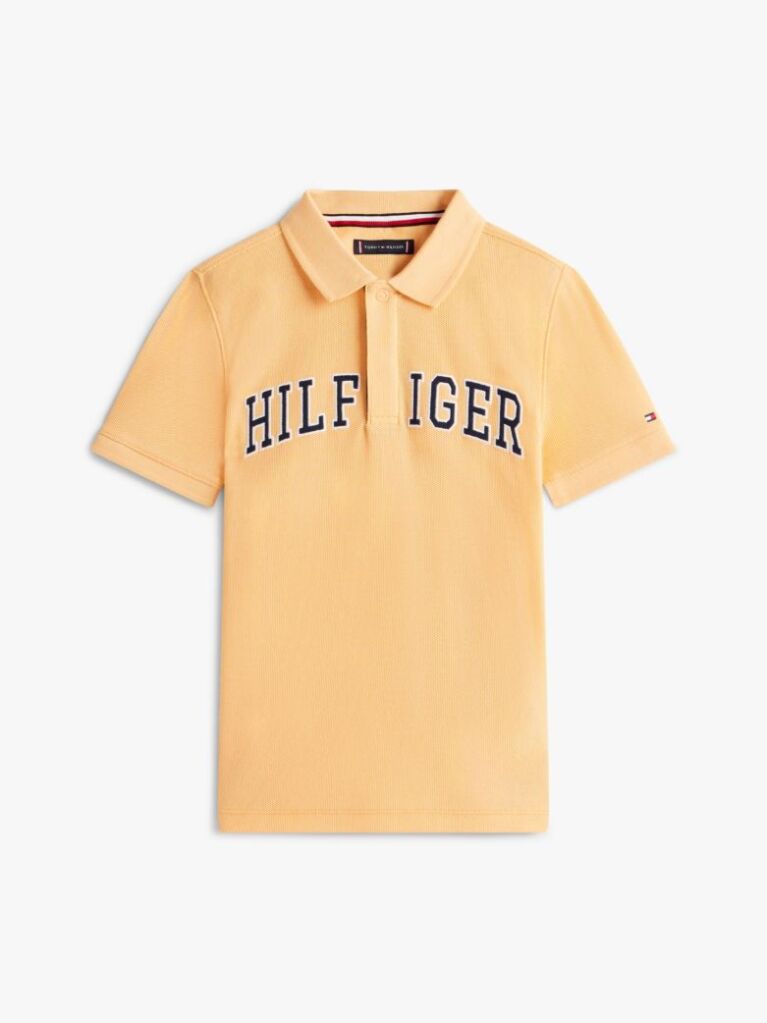 Orange Regular Fit Textured Polo Shirt  Boys
